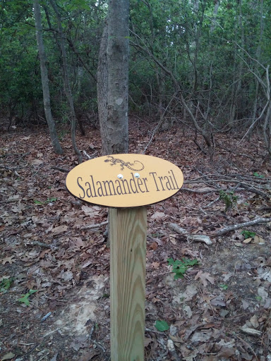 Salamander Trail