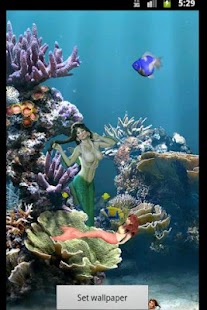 Mermaid Aquarium