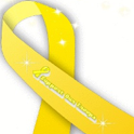 Support Our Troops LWP Ribbon