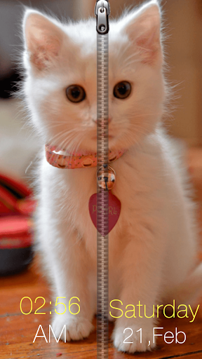 Kitty Zipper Screen Lock