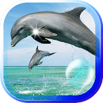 Cover Image of Herunterladen Dolphins Games live wallpaper 1.1 APK