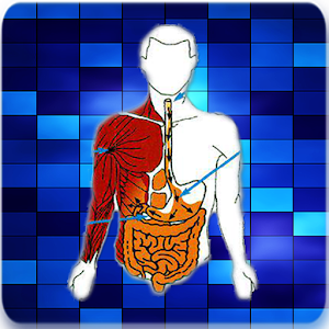 Creatinine Clearance Calculato.apk 3.0