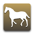 Estimate Horse Weight icon