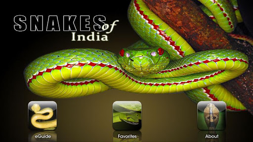 【免費教育App】Snakes eGuide-APP點子