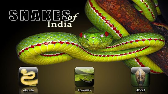 Free Snakes eGuide APK for Android