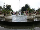 Eight Duck in Pool Statue
