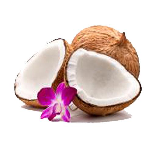 How to get Coconut Oil Uses 1.0 mod apk for laptop