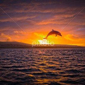 Ireland by Adrian O'Neill - Landscapes Sunsets & Sunrises