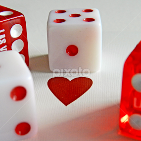 by Kerry  Milligan - Artistic Objects Still Life