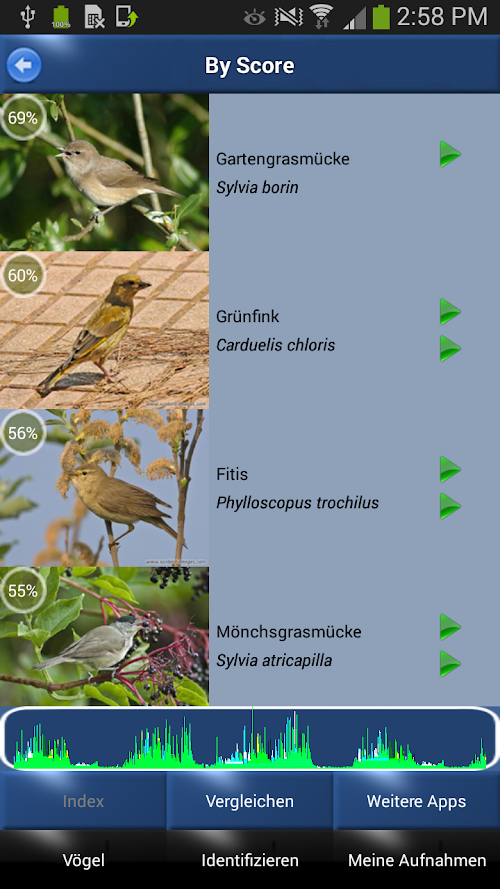 Android application Vogelstimmen Id - Ruf + Gesang screenshot