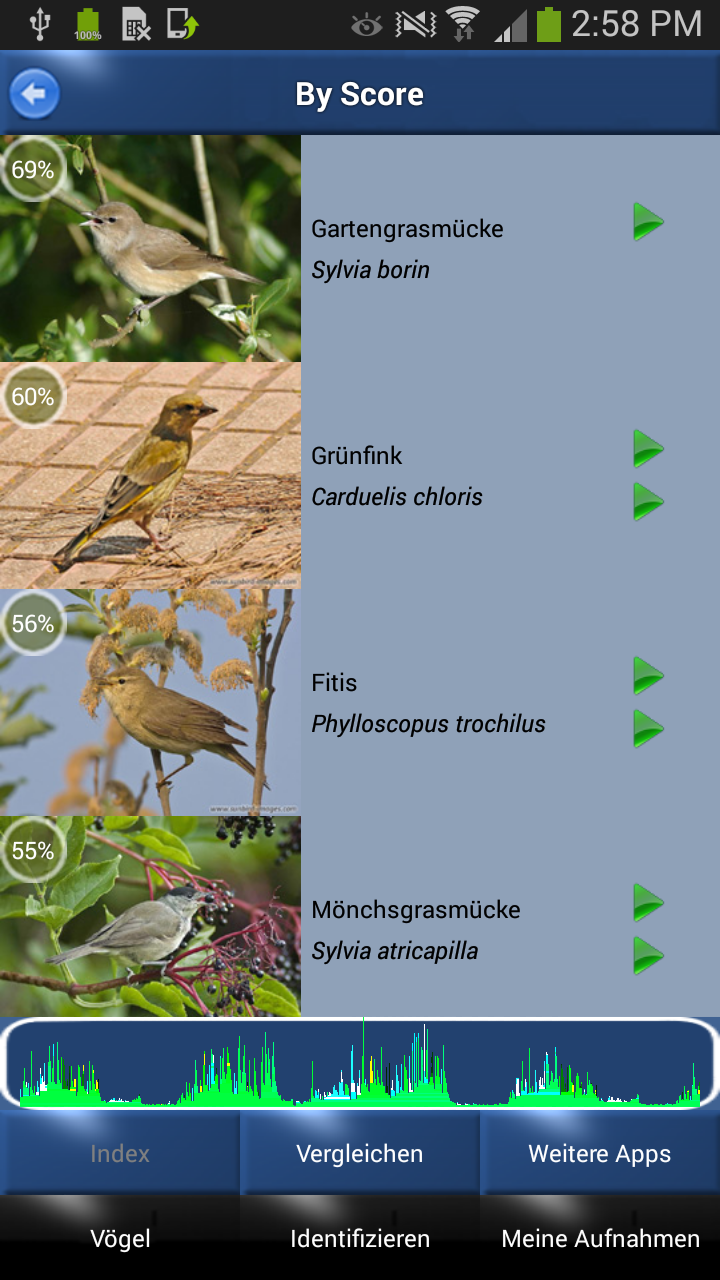 Vogelstimmen Id - Ruf + Gesang Screen 1