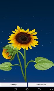 How to install Sunflower Free Live Wallpaper patch 1.00.06 apk for android