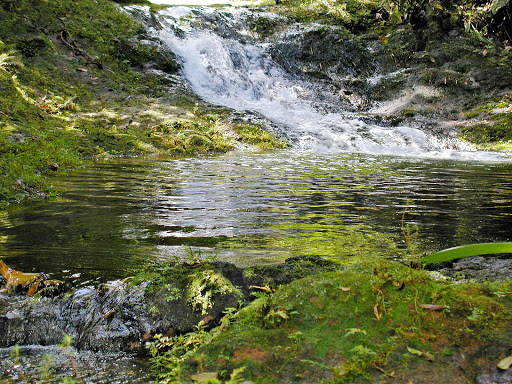 great-pond-guadeloupe - The Great Pond in the town of Capesterre, Guadeloupe.