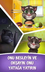 Benim Konuşan Tom - screenshot thumbnail