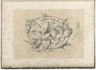 Bladrank met gevleugeld monster met vogelkop