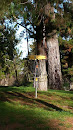Hole 9 Waller Pines Disc Golf Course