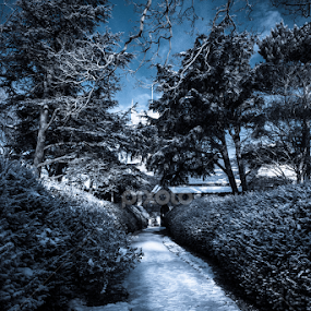 by Simon Trott - Nature Up Close Gardens & Produce