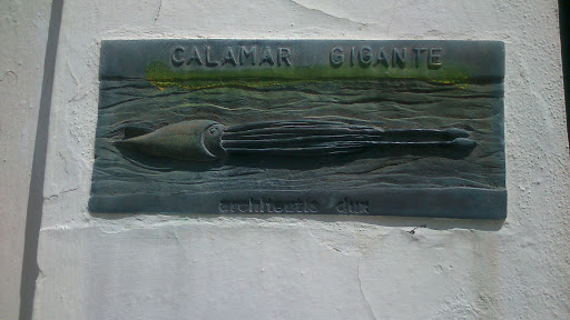 Calamar Gigante 