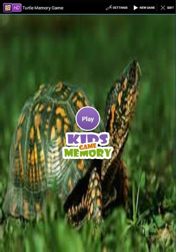 Turtle Memory Game