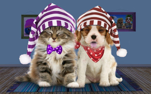 【免費娛樂App】Talking cat. Talking puppy.-APP點子