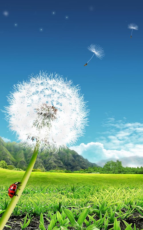 Android application Dandelion Live Wallpaper screenshort