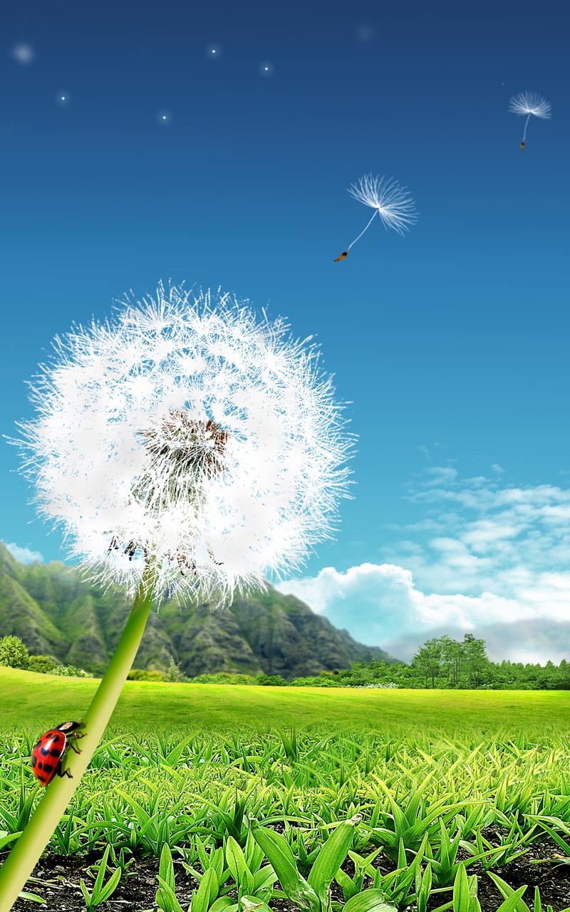 Dandelion Live Wallpaper Screen 1