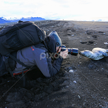 The walrus and the baby seal by George Marcu -  