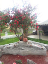 Red Tree Fountain