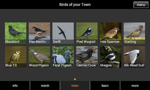 Birds of your Town Screenshots 14