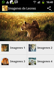 How to install Imágenes de Leones 1.0 mod apk for pc