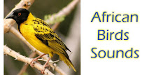 African Birds Sounds APK