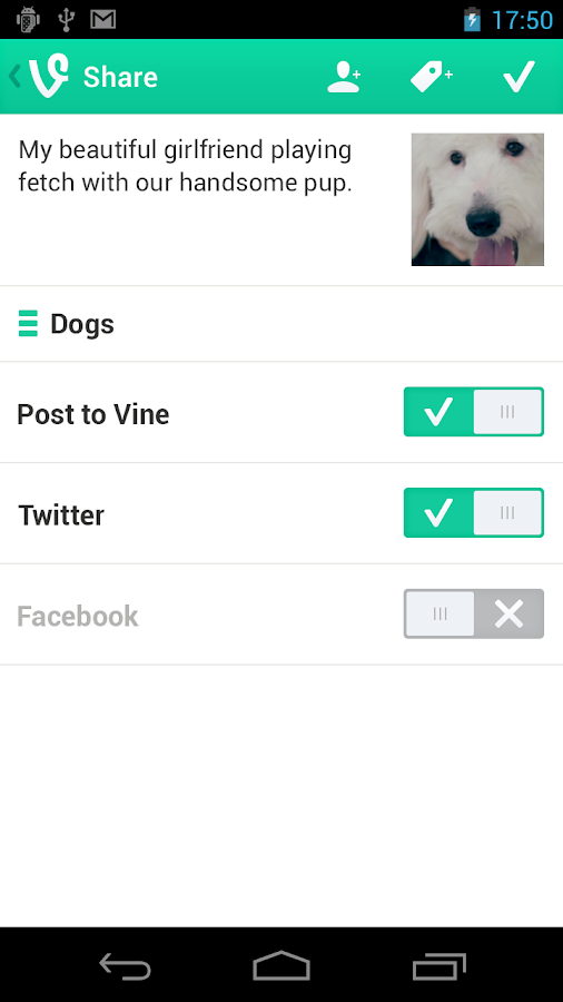 Vine - screenshot