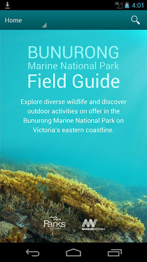 Bunurong Marine Field Guide