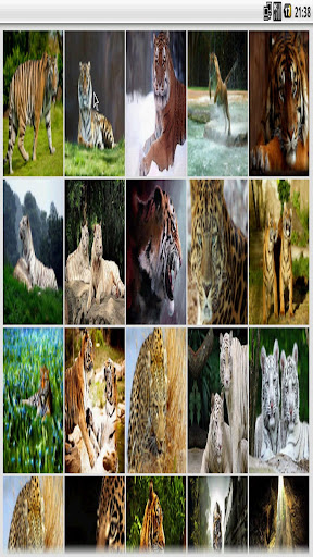 【免費個人化App】Animal Wallpapers PRO(NO ADS)-APP點子