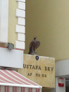 Mustafa Bey Kuşu