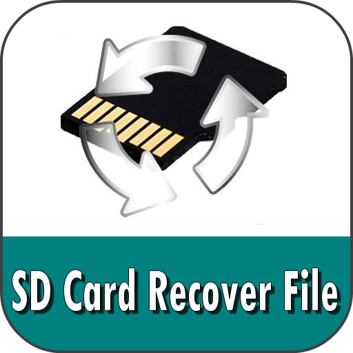 SD Card Recover File