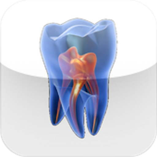 Endodontie 健康 App LOGO-APP開箱王
