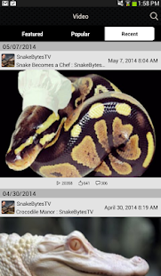 SnakeBytesTV Screenshots 0