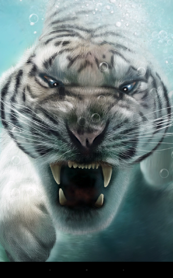  Tiger  Live Wallpaper  Android  Apps on Google Play