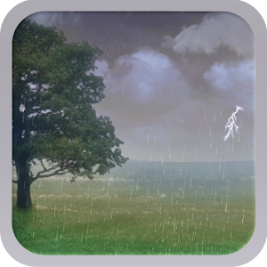 Rain Live Wallpaper 1.0