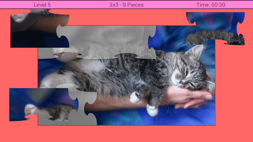 【免費棋類遊戲App】Cats Puzzle-APP點子