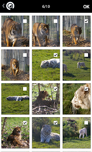 ATAFOTO.album Screenshots 1