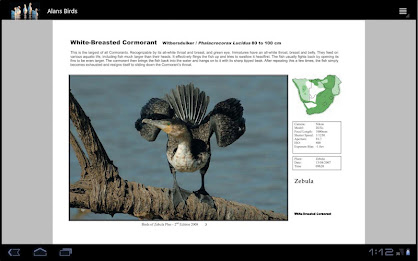 Alan's Birds poster 2