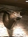 Pittsburg Bull
