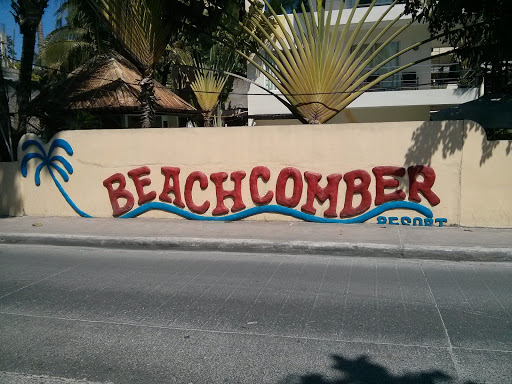 Beach Comber