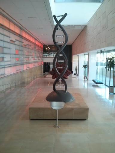 Spinning DNA