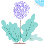 test1