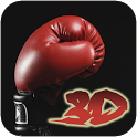 Boxing 3D icon