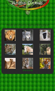 Download Animal real Sounds APK for PC