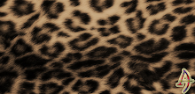 Leopard Skin Xperien Theme APK